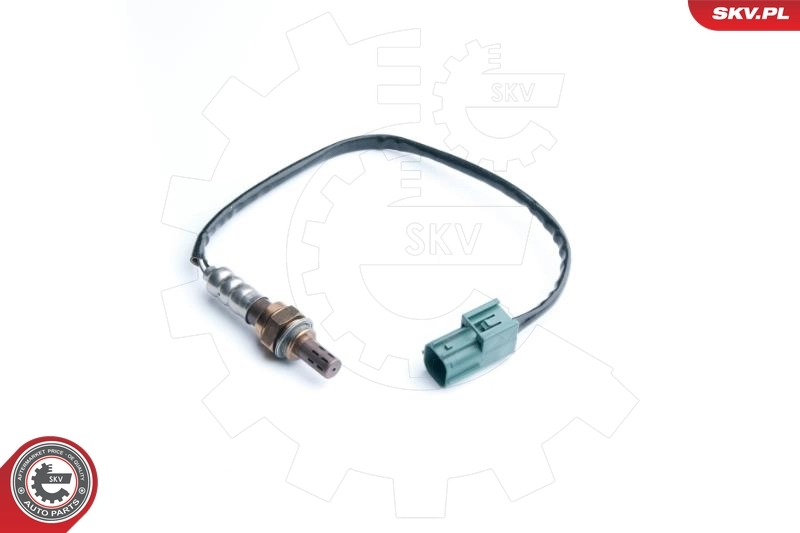 Oxygen Sensor